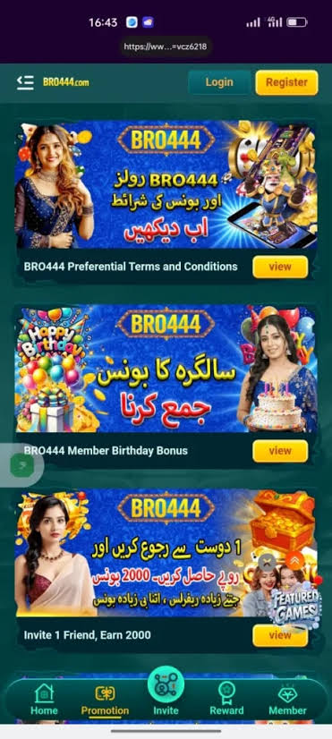 Bro444 Game Features 